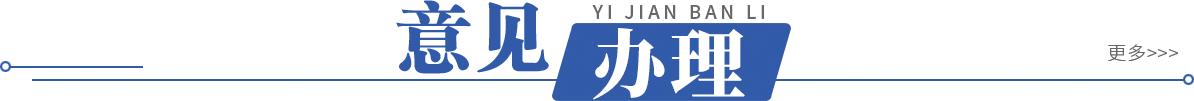 意见办理